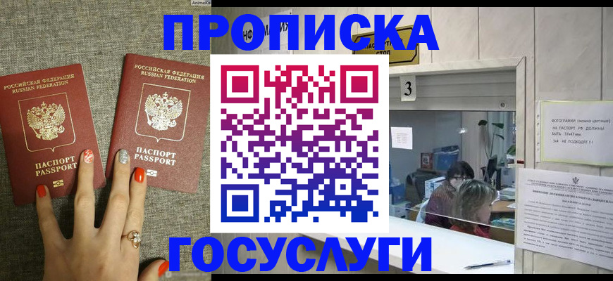 временная прописка в Лосино-Петровском